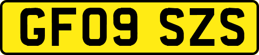 GF09SZS