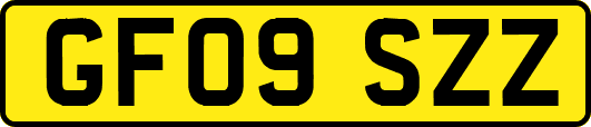 GF09SZZ