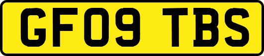 GF09TBS