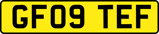 GF09TEF