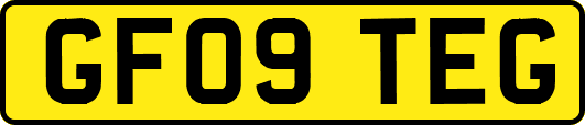 GF09TEG