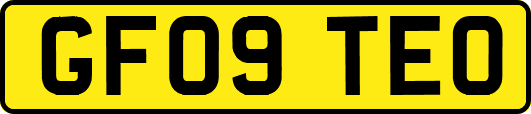 GF09TEO