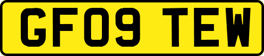 GF09TEW