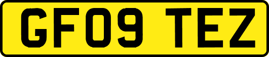 GF09TEZ