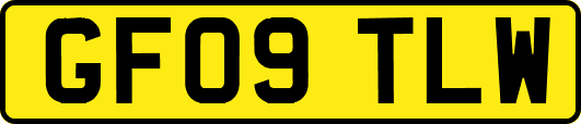 GF09TLW