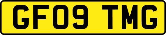 GF09TMG