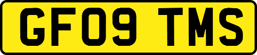 GF09TMS