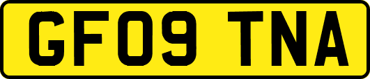 GF09TNA