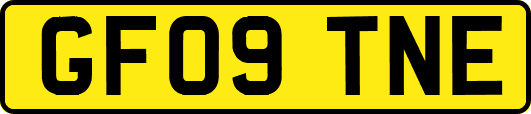 GF09TNE