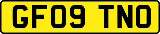 GF09TNO