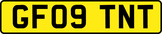 GF09TNT