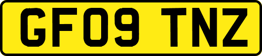 GF09TNZ