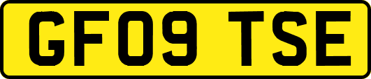 GF09TSE