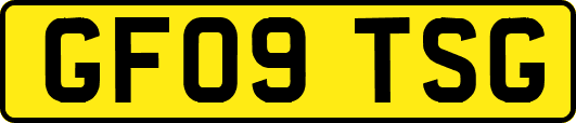 GF09TSG
