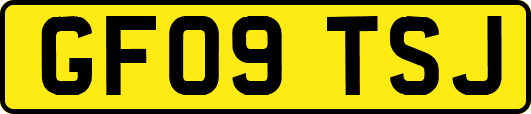 GF09TSJ
