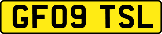 GF09TSL