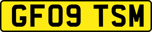 GF09TSM