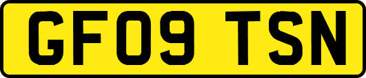 GF09TSN