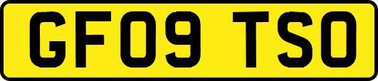 GF09TSO