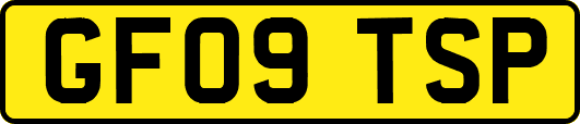 GF09TSP