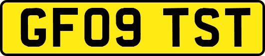 GF09TST