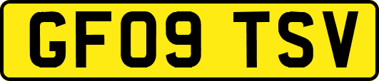 GF09TSV