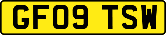 GF09TSW