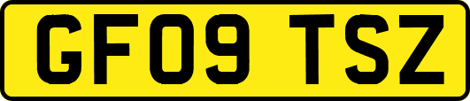 GF09TSZ