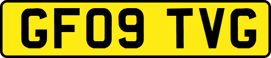 GF09TVG