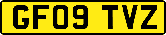 GF09TVZ