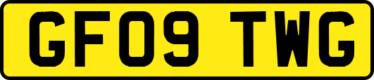 GF09TWG