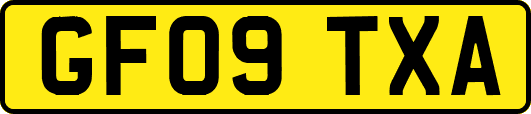 GF09TXA