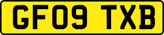 GF09TXB