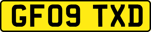 GF09TXD