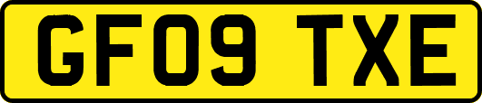 GF09TXE