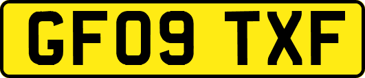 GF09TXF