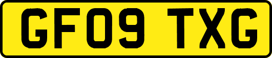 GF09TXG