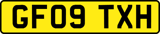 GF09TXH