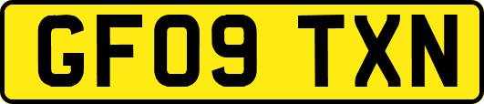 GF09TXN