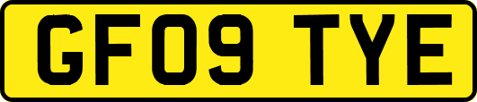 GF09TYE