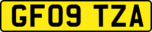 GF09TZA