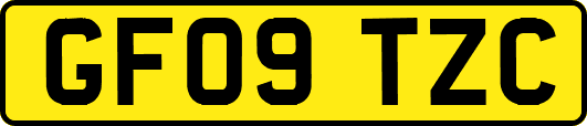 GF09TZC