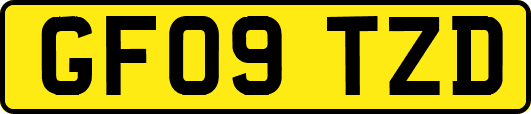 GF09TZD