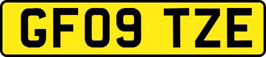 GF09TZE