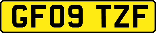 GF09TZF