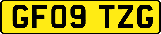 GF09TZG