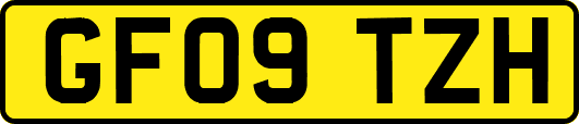 GF09TZH