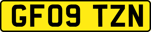 GF09TZN