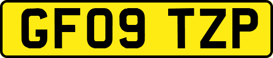 GF09TZP