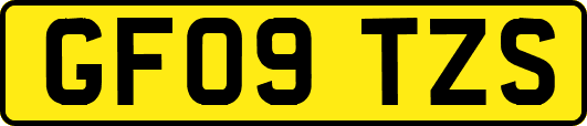 GF09TZS
